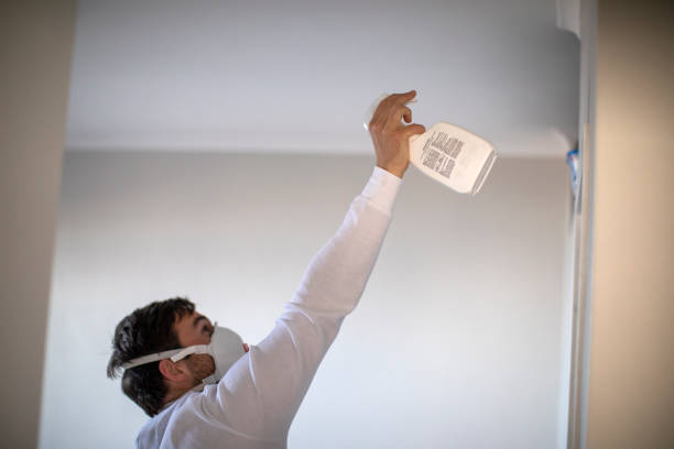 Best Attic Mold Removal  in Rankin, TX