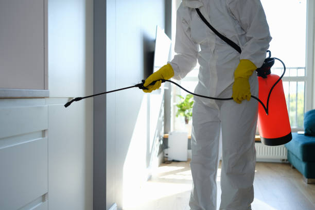 Best Office Mold Removal Services  in Rankin, TX