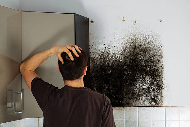 Home Mold Removal in Rankin, TX